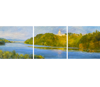 Xiaogang Zhu thumbnail image
